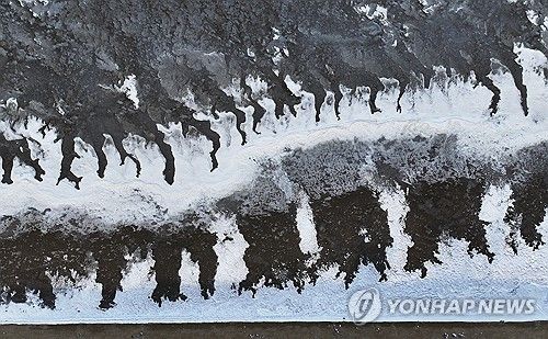 한파에 얼어붙은 갯벌