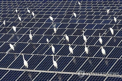중국 남부 하이난성의 태양광 설비