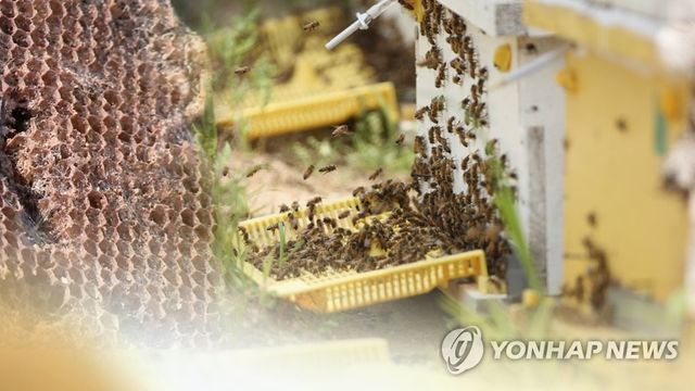 양봉