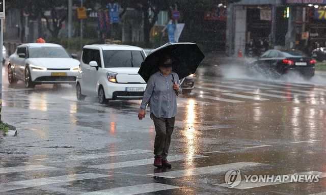 비 내리는 제주