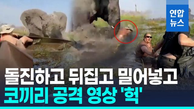 [영상] 새끼에 접근하자 어미 코끼리 '폭발'…관광객 카누 공격 - 2