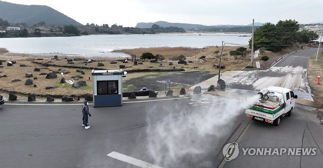 하도리 철새도래지 AI 방역 