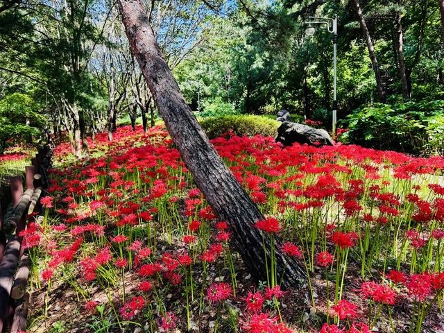 동구 가오 근린공원