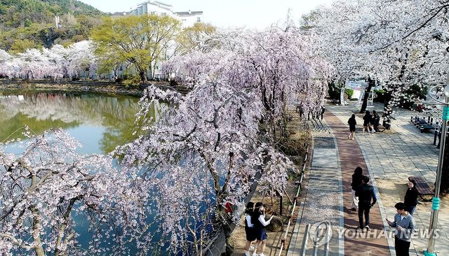창녕군 영산 연지 못