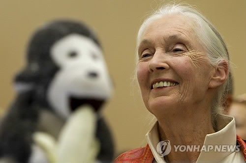 제인 구달 박사 
