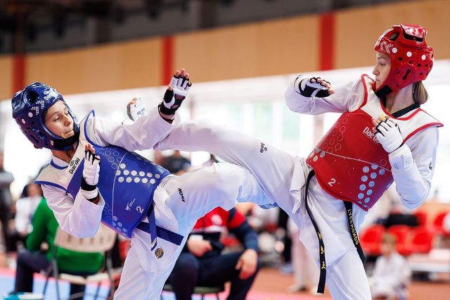 리투아니아 대사배 태권도대회