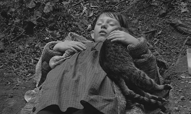 사탄탱고 중 한 장면 