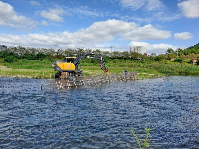 울산 태화강 연어 회귀량·자연산란장 조사 