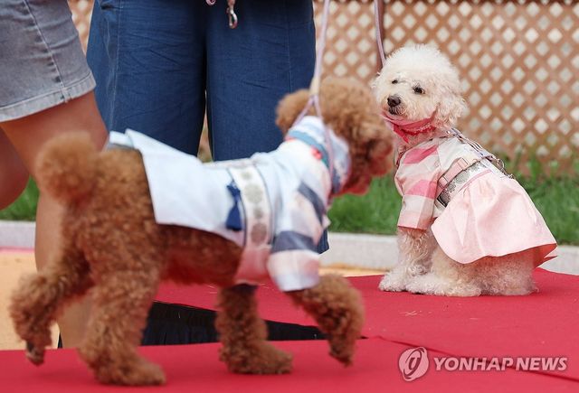 ‘잘 하는데?’