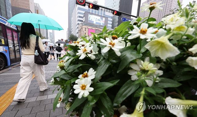 가을비 내리는 광화문