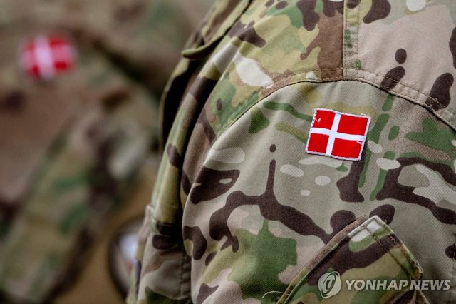 덴마크군 병사 군복에 붙은 덴마크 국기 