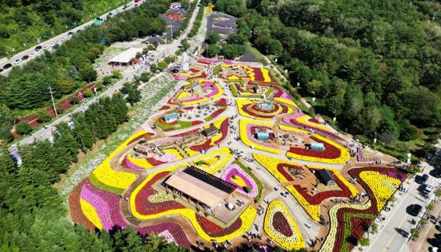 인제 가을꽃 축제