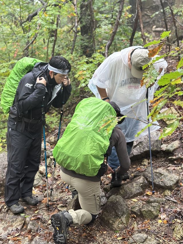부상자 처치 중인 산악구조대원들