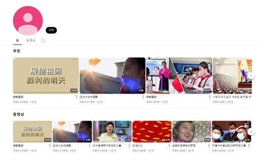 북한 찬양 불법정보 예시