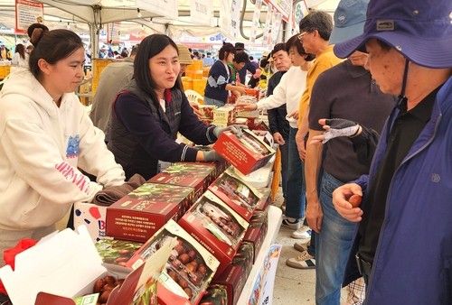 지난해 보은대추축제