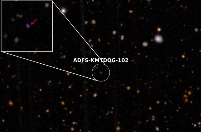 외계행성탐색시스템(KMTNet)으로 관측된 푸른빛을 내는 블루독 