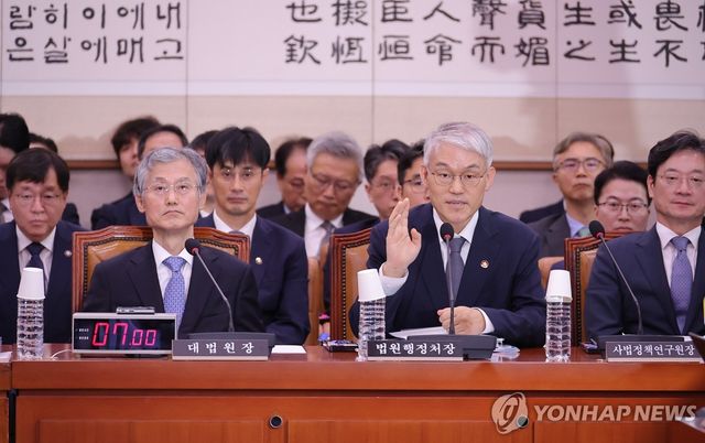 발언 요청하는 천대엽 법원행정처장