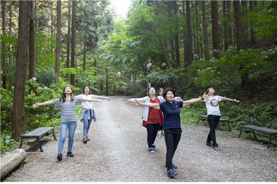 산림치유 프로그램 '비움숲' 