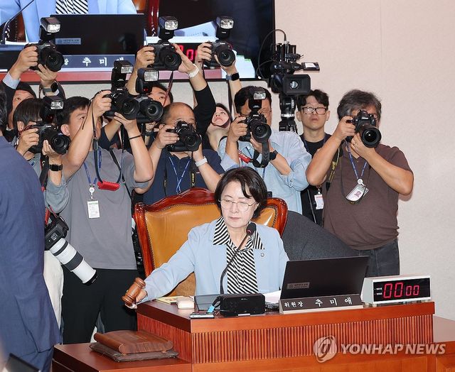 국감 시작, 의사봉 두드리는 추미애 위원장