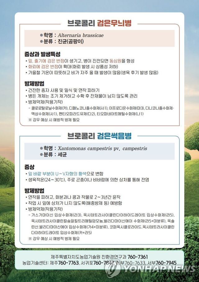 브로콜리 병해 방제 정보 리플릿