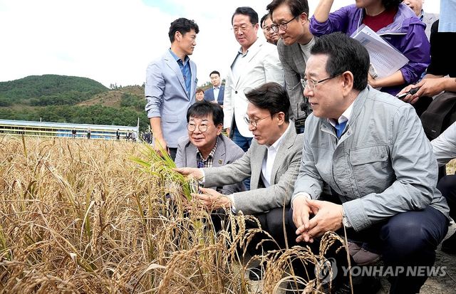 김민석 총리, 전남 벼 깨씨무늬병 피해 현장 방문