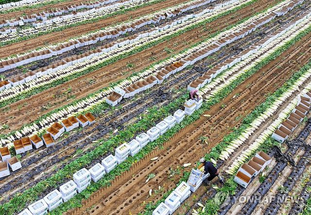 추석 앞두고 흐뭇한 수확