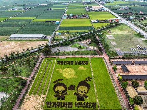 벽골제 전망대에서 바라본 김제 들판[사진/백승렬 기자]