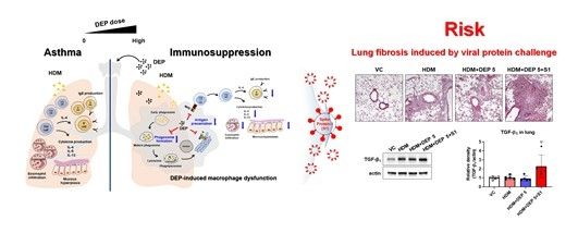 알레르기 인자와 미세먼지에 동시 노출됐을 때의 폐질환 위험성