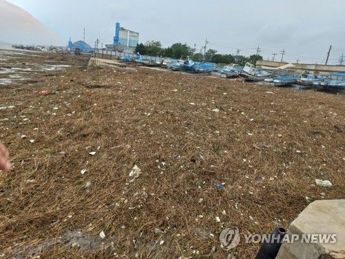 폭우로 금강 하구에 밀려온 쓰레기