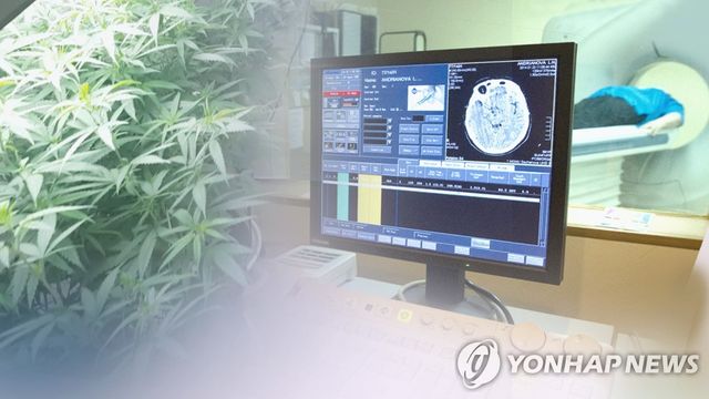 의료용 대마(CG)