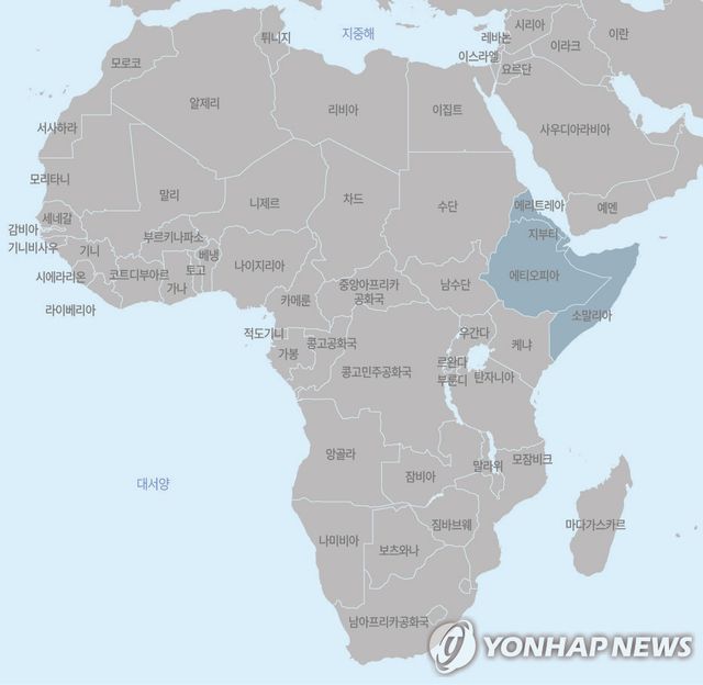 '아프리카의 뿔' 지역