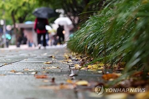 가을비에 젖은 낙엽