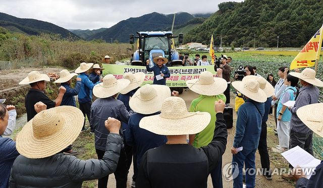 "가을 장마에 배추 무름병 피해…대책 마련"