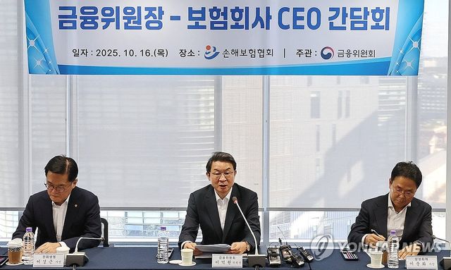 금융위, 보험회사 CEO 간담회 개최