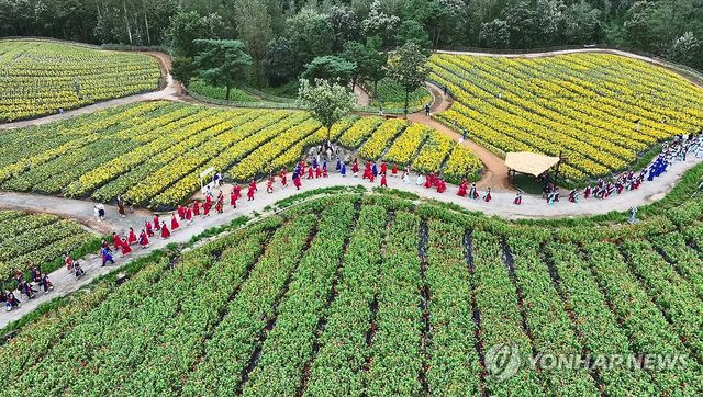 2024 세종대왕 철원 강무 행차 재현 행사