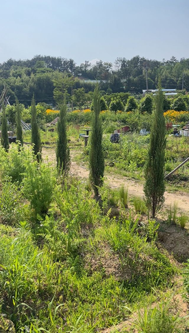 울산시 민간정원 9호 '소오소오'