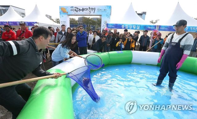 제주광어대축제