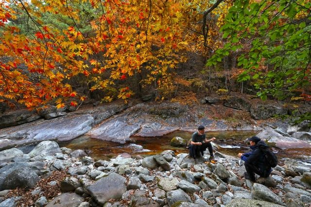 구천동 어사길 단풍