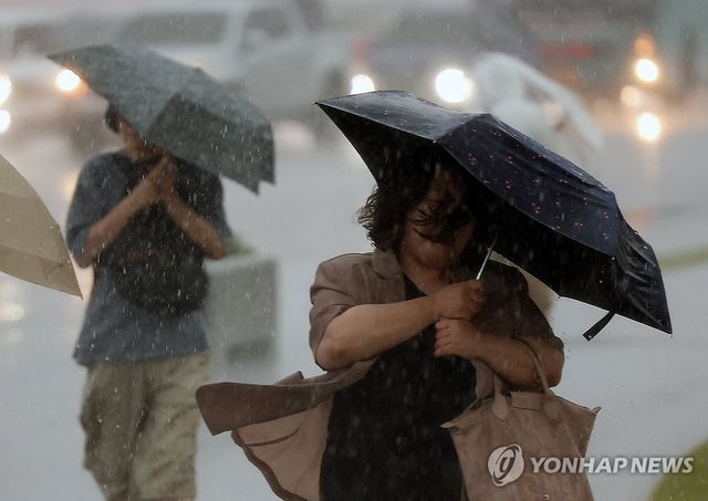 거칠게 쏟아지는 비