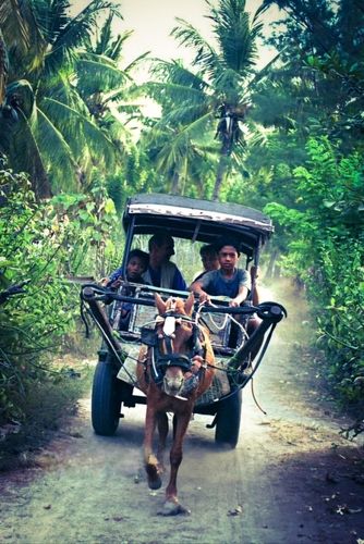 당시 길리섬에서는 우마차가 유일한 교통수단이었다. [사진/성연재 기자] 