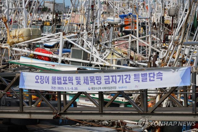 신진항에 걸린 오징어 불법포획 단속 현수막