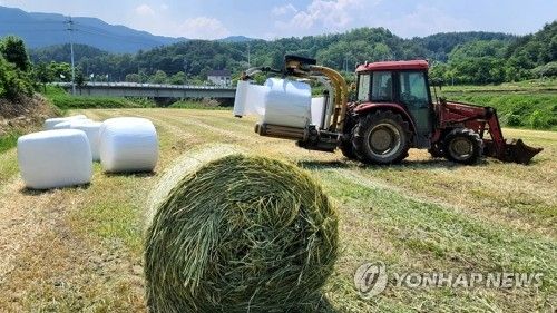 소 사료 만들기