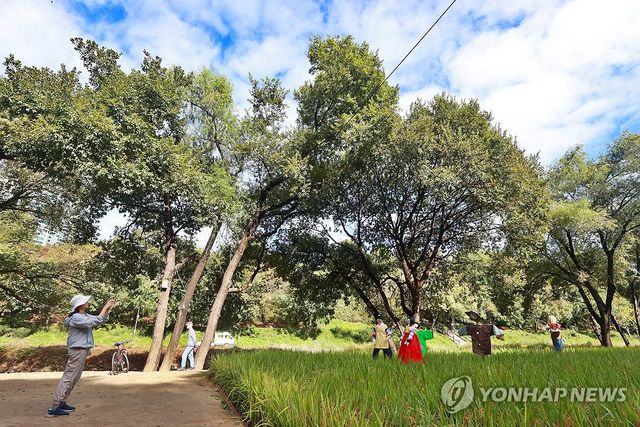 완연한 가을날씨