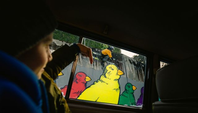 '이미지네이션'