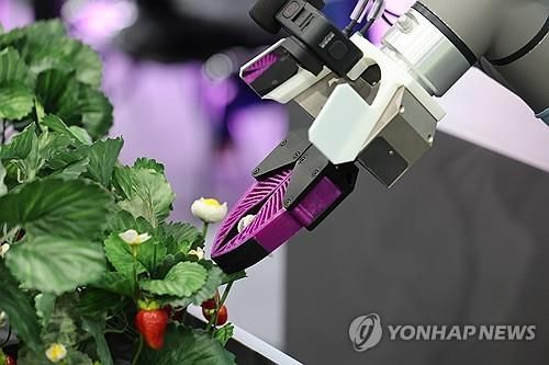 대동의 농업 인공지능(AI) 수확&운반 로봇