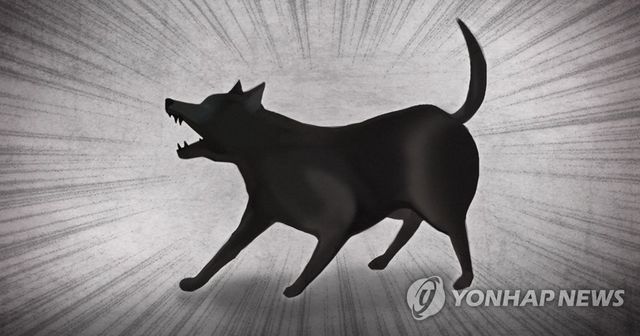 개 공격·위협 (PG)