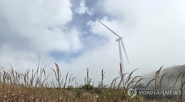 대관령의 가을 정취