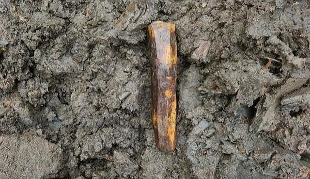 양주 대모산성에서 출토된 목간