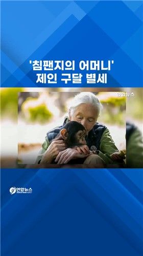 [쇼츠] '침팬지의 어머니' 제인 구달 별세…향년 91세 - 2