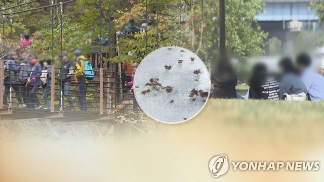 가을철 쯔쯔가무시병 주의…긴옷·곤충기피제 챙겨야 (CG)
